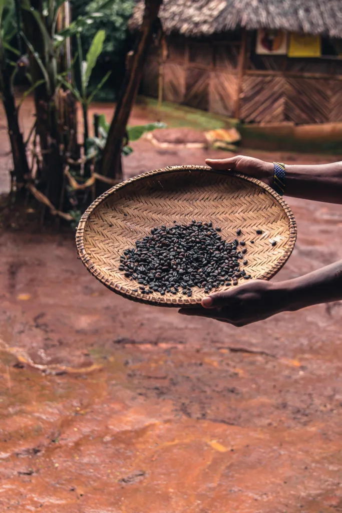 materuni coffee tour